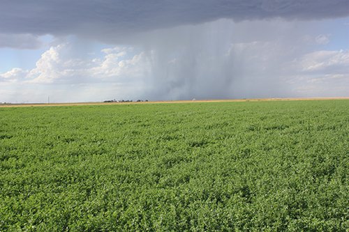 Property photo 108 - LAND AUCTION, 3255+/- Acres offered in 13 Tracts